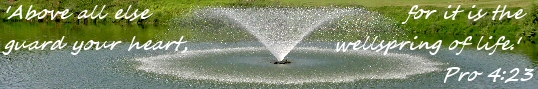 wellspring